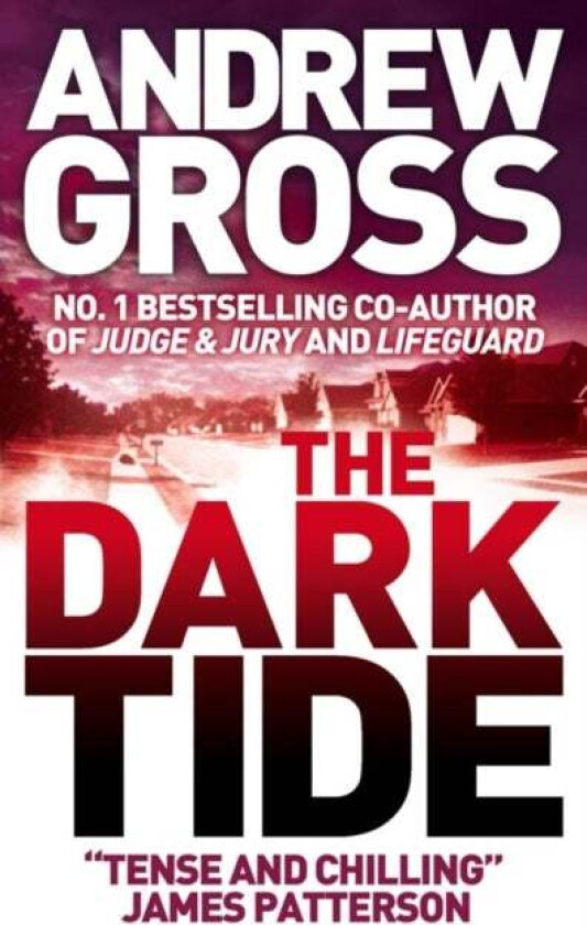 The Dark Tide av Andrew Gross
