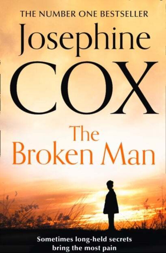 The Broken Man av Josephine Cox