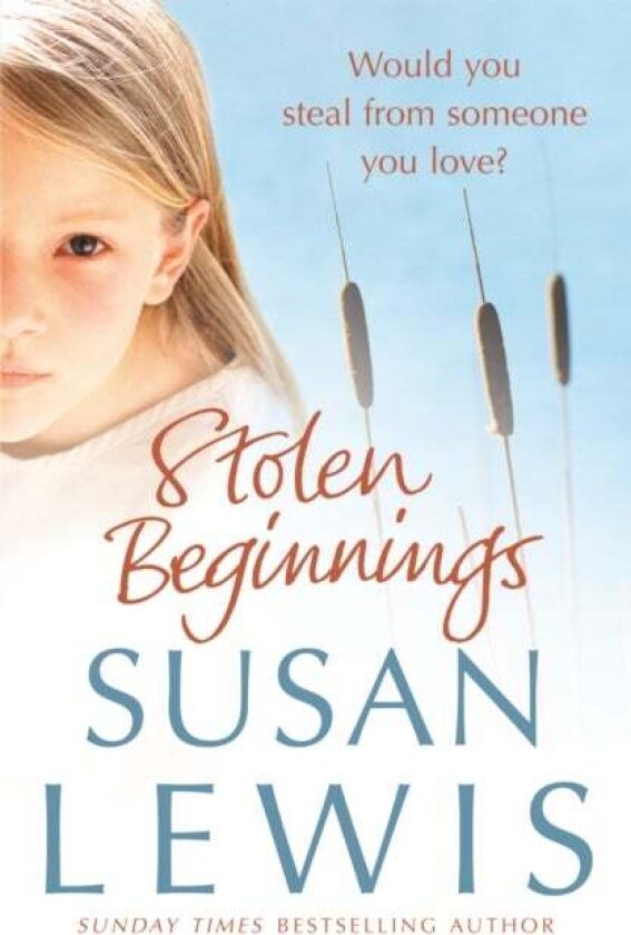 Stolen Beginnings av Susan Lewis