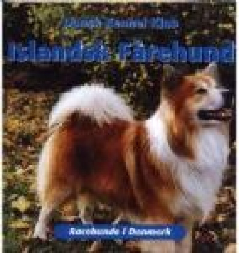 Islandsk Fårehund Dansk Kennel Klub Språk: Dansk