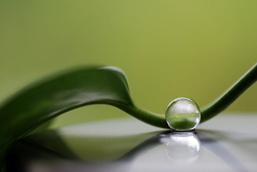 Green Harmony - 50x70 cm