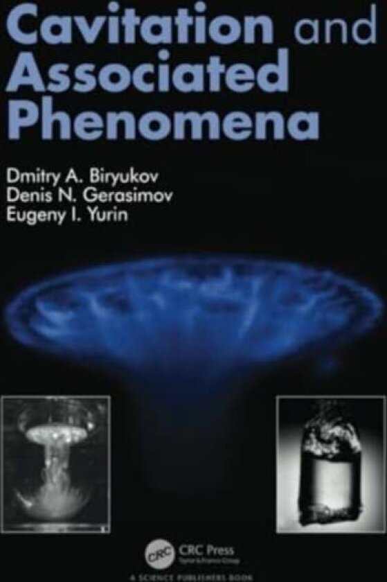 Cavitation and Associated Phenomena av Denis Gerasimov, Eugeny Yurin, Dmitry Biryukov