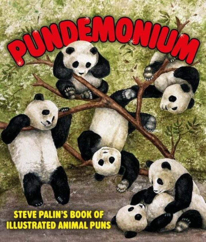 Pundemonium av Steve Palin