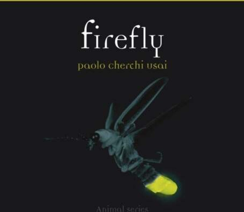 Firefly av Paolo Cherchi Usai