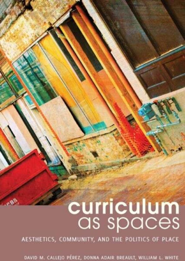 Curriculum as Spaces av David M. Callejo Perez, Donna Adair Breault