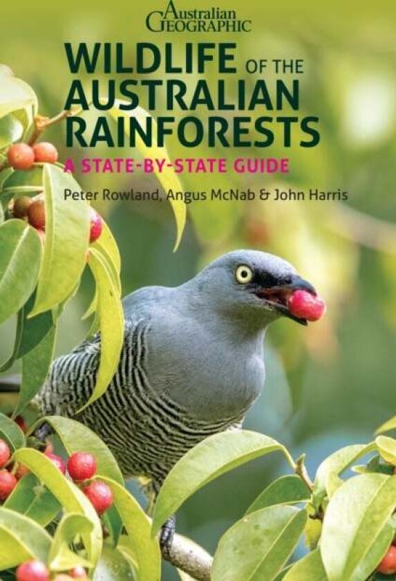 Wildlife of the Australian Rainforests av Angus McNab