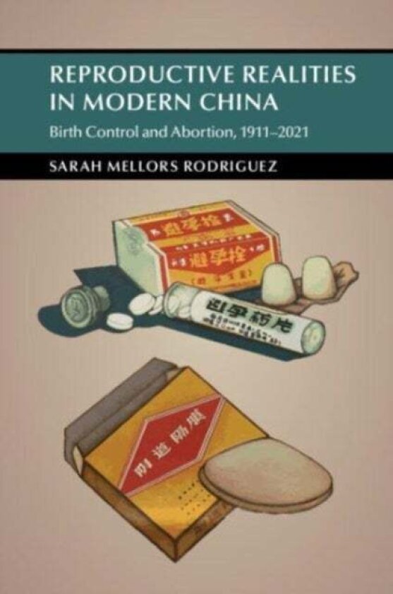 Reproductive Realities in Modern China av Sarah Mellors Rodriguez
