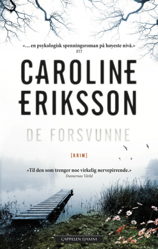 De forsvunne av Caroline Eriksson