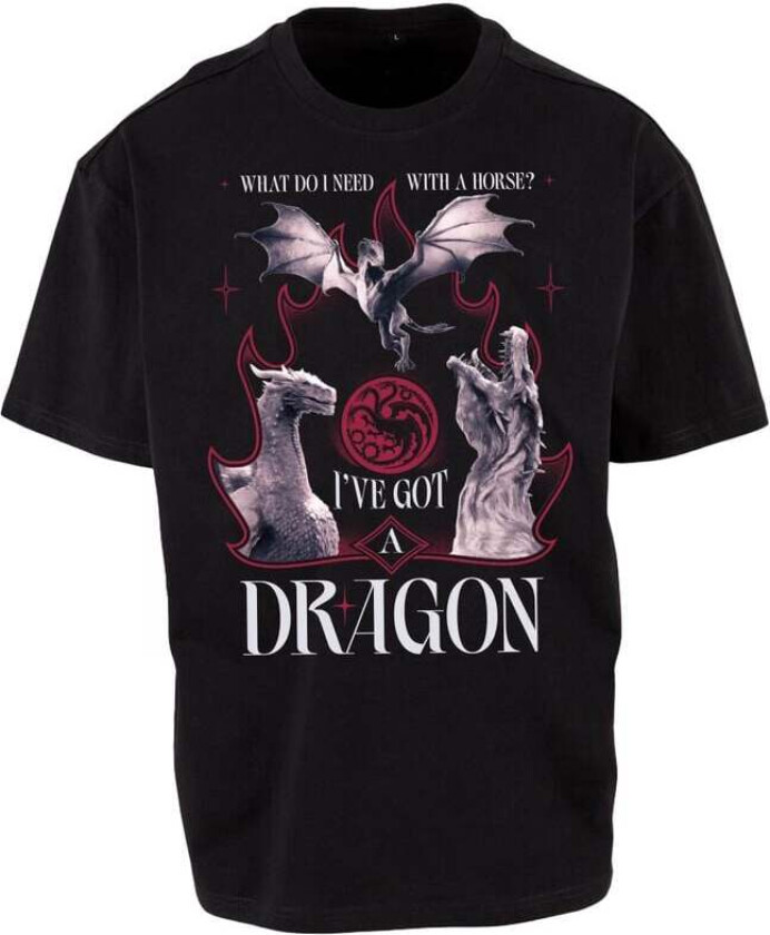 T-skjorte - House of the Dragon - I´ve Got A Dragon - M til 3XL - Unisex - svart