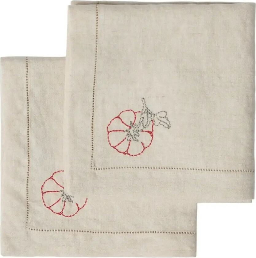 Linen Embroidered Linen Napkin 2-Pack - Cream - 40X40CM