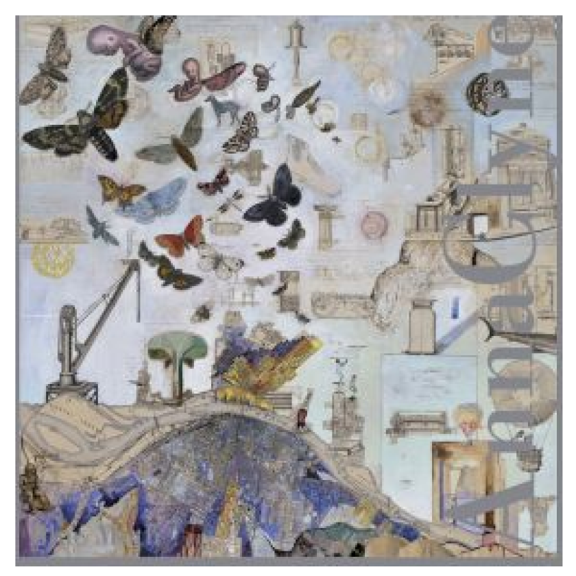 Blue Moth CD