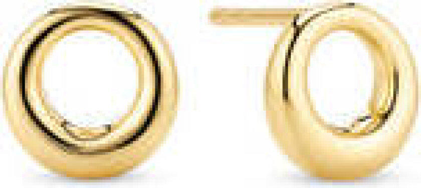 Earrings Selene