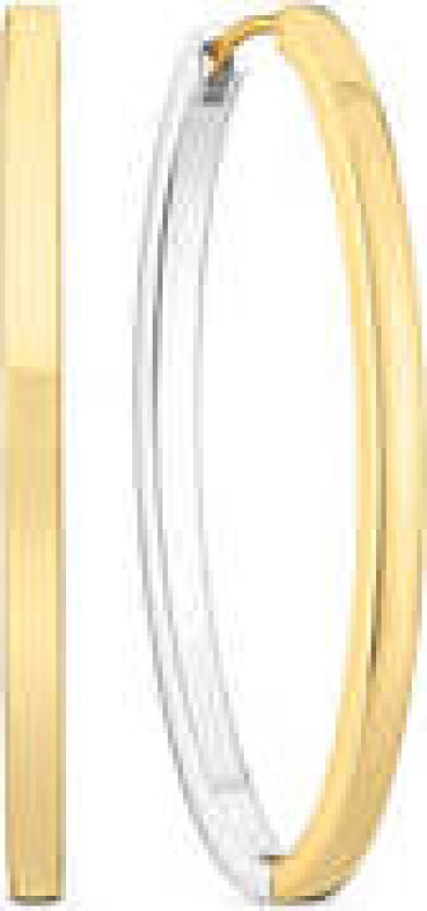 Earrings Ellisse Pianura
