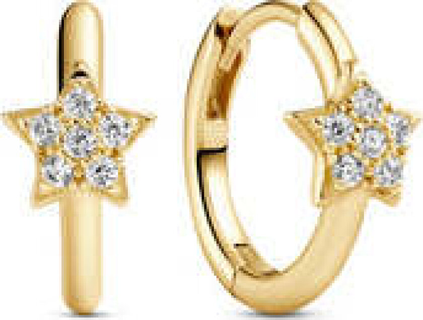 Earrings Astri Creolo