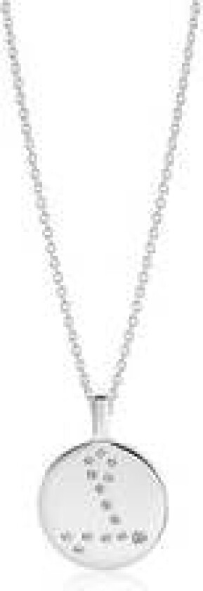Bilde av Pendant Zodiaco Pisces