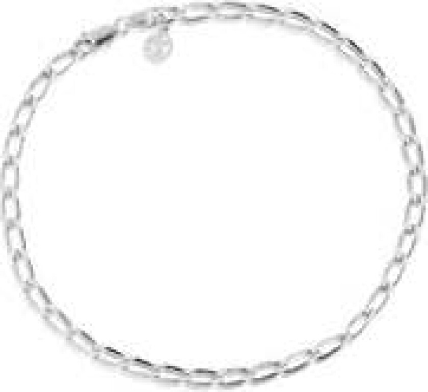 Bilde av Ankle Chain Cheval