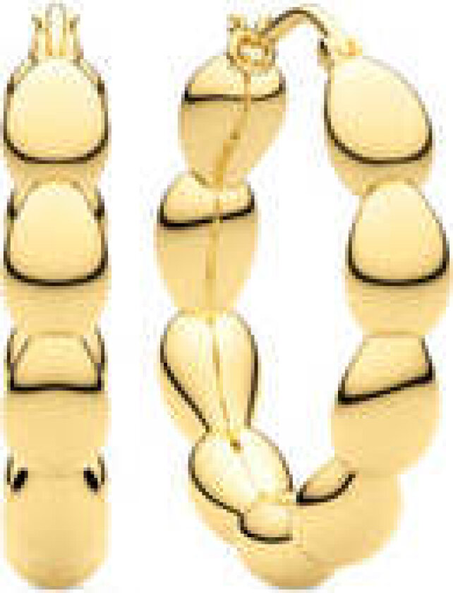 Earrings Goccia Cerchietto