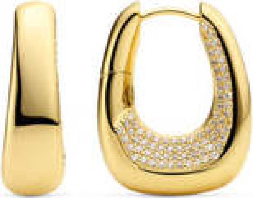 Earrings Borsa