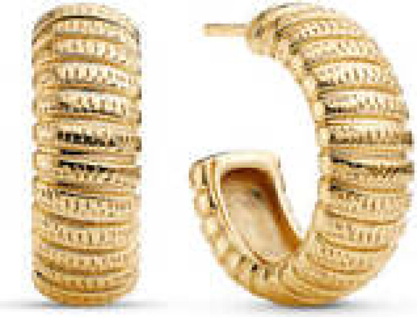 Earrings Riva