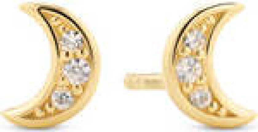 Earrings Luna