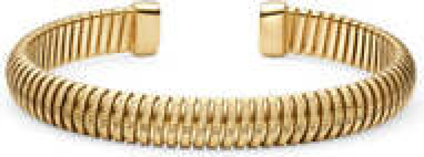 Bangle Riva