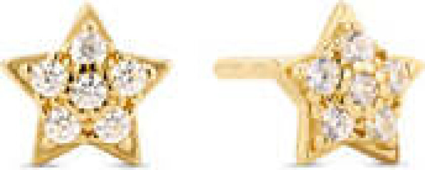 Earrings Astri