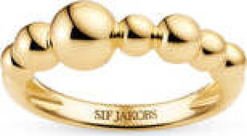 Ring Bormio