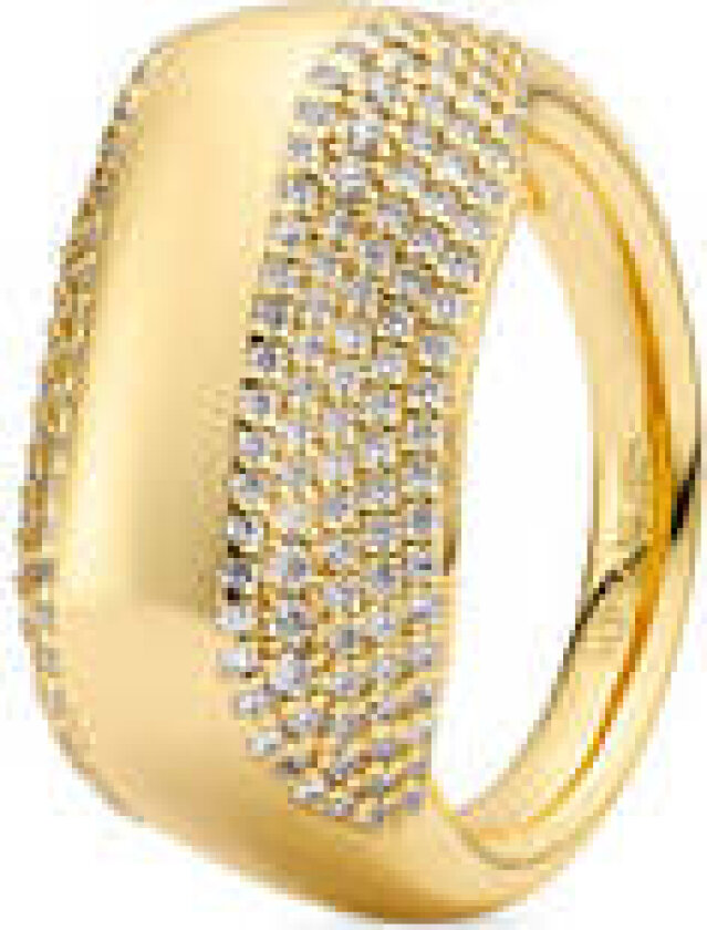 Ring Borsa