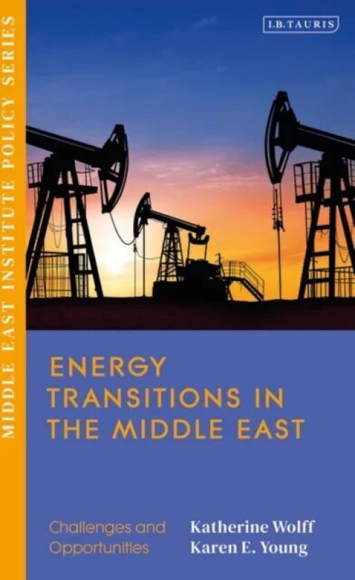 Energy Transitions In The Middle East