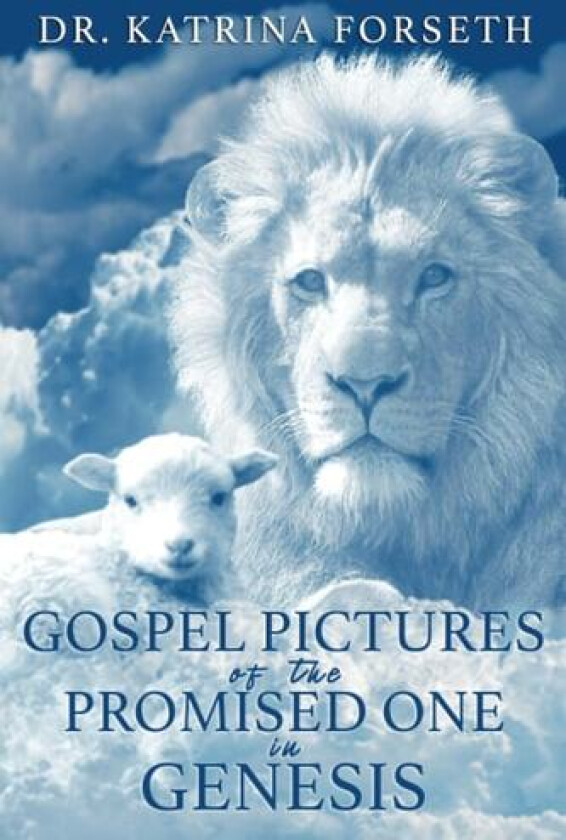 Gospel Pictures of the Promised One in Genesis av Katrina Forseth (Paperback)