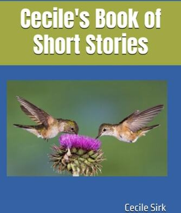 Cecile's Book of Short Stories av Cecile Sirk (Paperback)