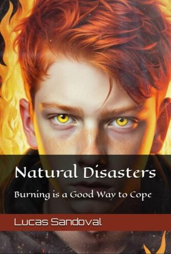 Natural Disasters av Lucas M Sandoval (Paperback)