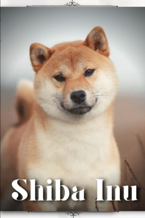 Shiba Inu av Nina Pustova (Paperback)