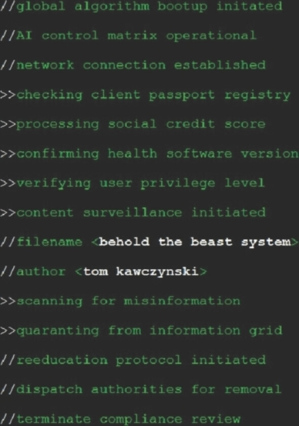 Behold the Beast System av Tom Kawczynski (Paperback)