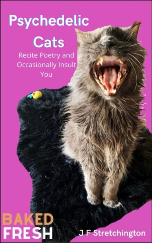 Psychedelic Cats av J F Stretchington (Paperback)