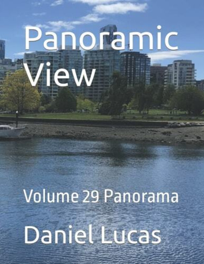 Panoramic View av Daniel Lucas (Paperback)