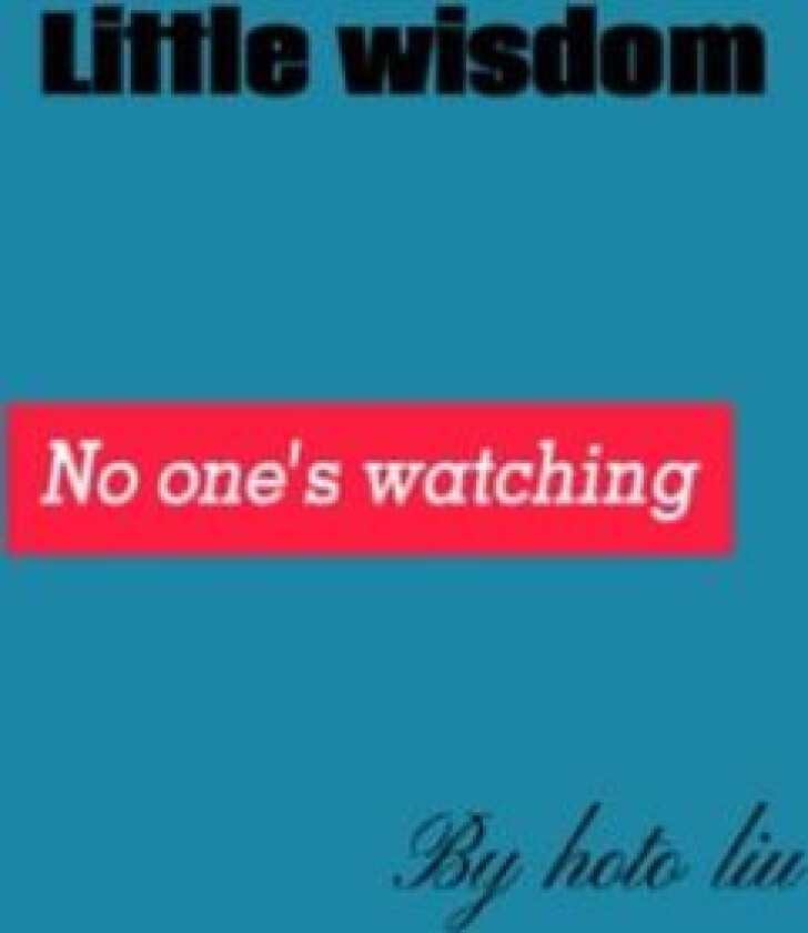 little wisdom av hoto liu (Paperback)