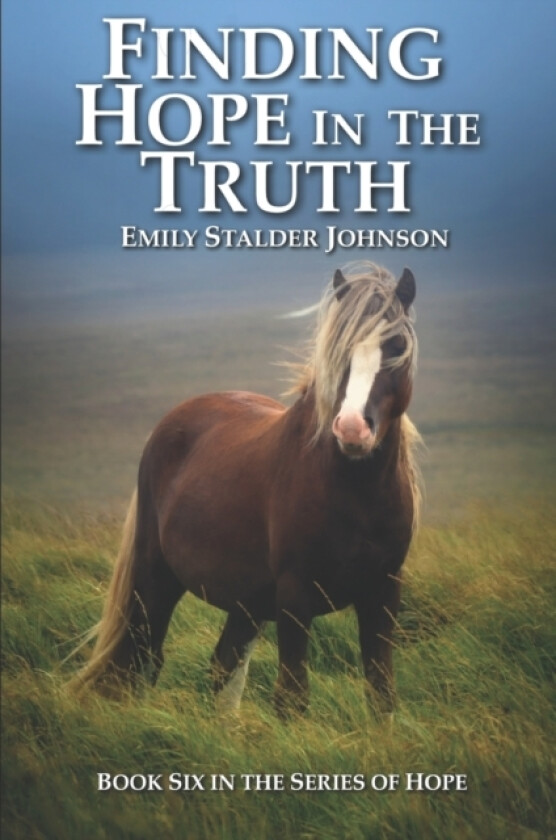 Finding Hope in the Truth av Emily Stalder Johnson (Paperback)