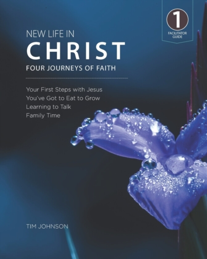 New Life in Christ av Tim Johnson (Paperback)