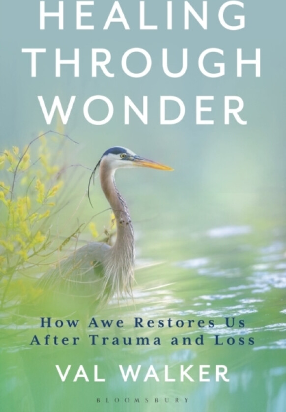 Healing Through Wonder av Val Walker (Hardcover)
