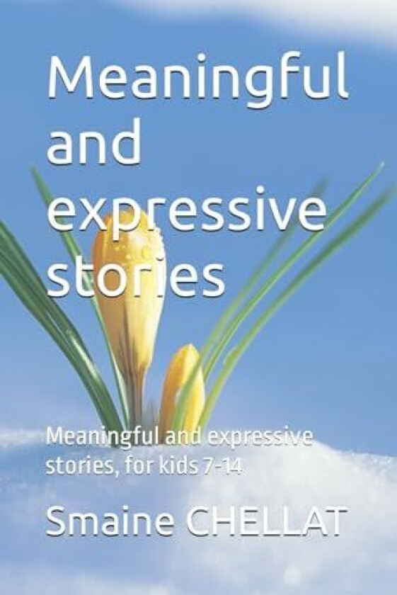 Meaningful and expressive stories av Smaine Chellat (Paperback)