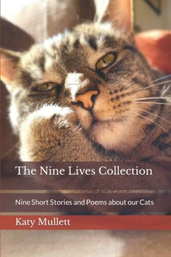 The Nine Lives Collection av Katy Mullett (Paperback)