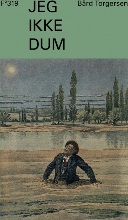 Jeg ikke dum av Bård Torgersen