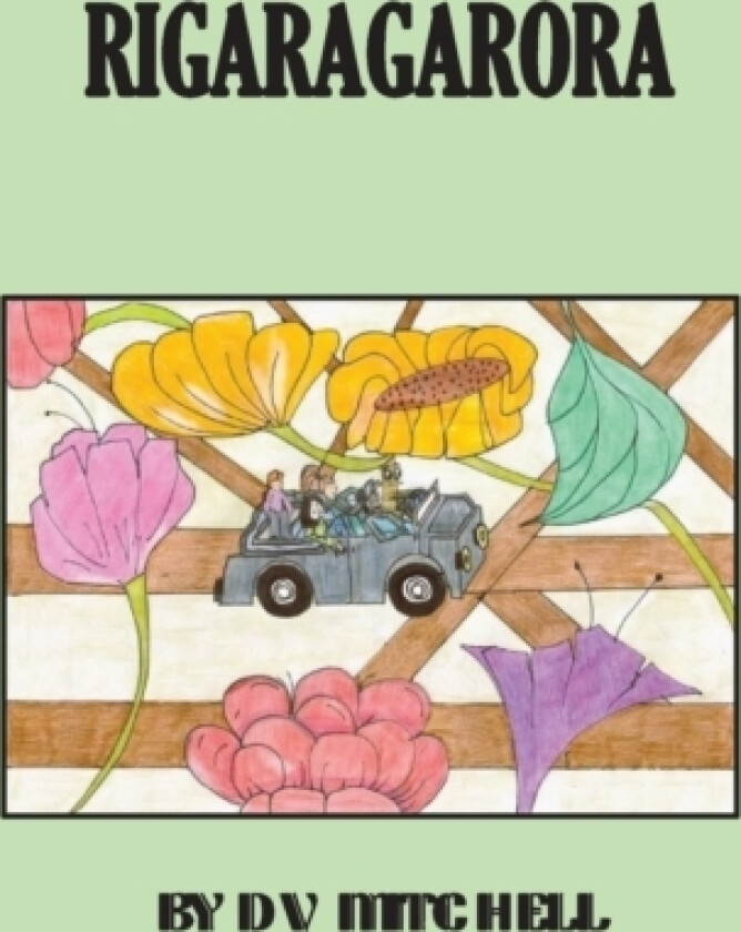 Rigaragarora av DV Mitchell (Paperback)