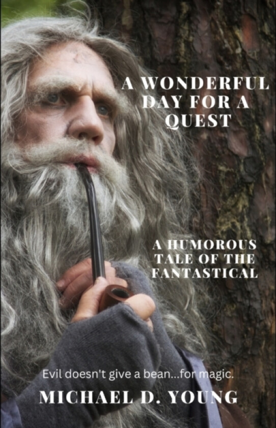 A Wonderful Day for a Quest av Michael D Young (Paperback)