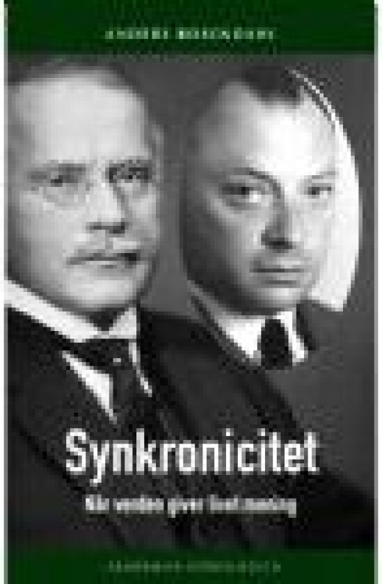 Synkronicitet Anders Rosendahl Språk: Dansk