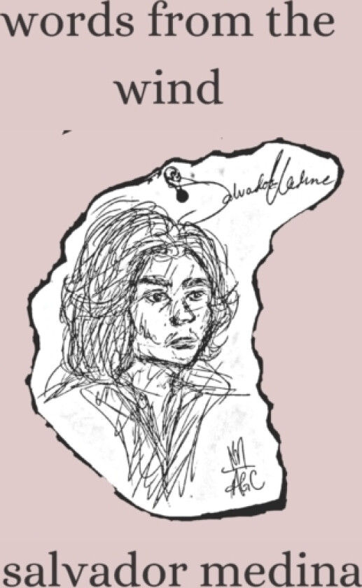 Words from the Wind av Salvador Medina (Paperback)