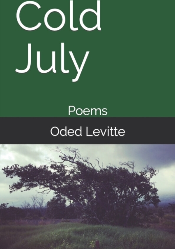 Cold July av Oded Levitte (Paperback)