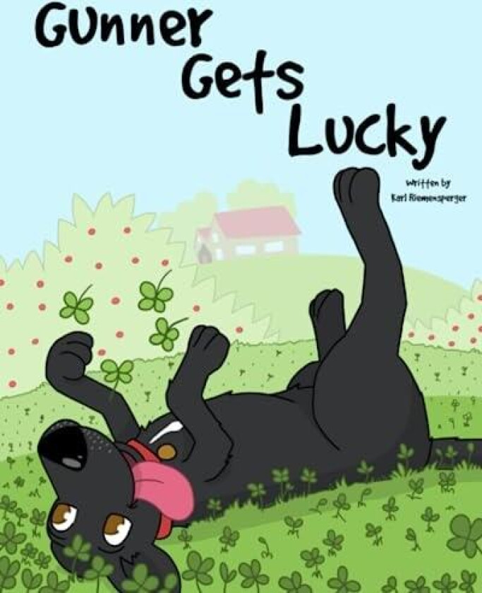 Gunner Gets Lucky av Karl Riemensperger (Paperback)