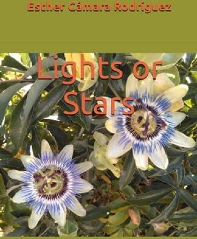 Lights or Stars av Esther Camara Rodriguez (Paperback)